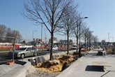 Biophilic Cities