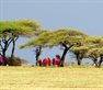 Crossroads in African Studies