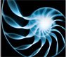 Death, Immortality and the Afterlife