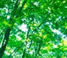 Open position: Senior Lecturer/Lecturer in Global Ethics