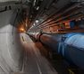 A year at CERN