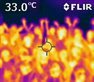Recently established Birmingham Urban Climate Lab (BUCL) visits Moseley Primary School