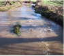 River Sediment Pollution Project: SILTFLUX