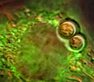 Double prize-winning week in Biosciences laboratory