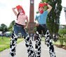 Community Day 2012