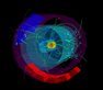 Early results from CERN give an insight into life immediately after the Big Bang