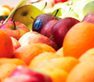 Fruit and vegetable compound offers hope in fight against gum disease