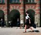 Small firm employment offers a ray of hope to 2010 graduates