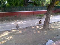 IMG-20130227-00023