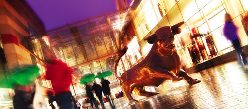 Bullring-bull