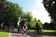 Cyclists in the park