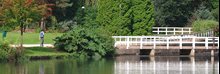 The Vale lake