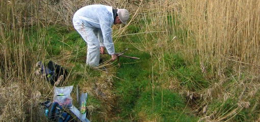 Photograph of an environmental archaeologist in the field