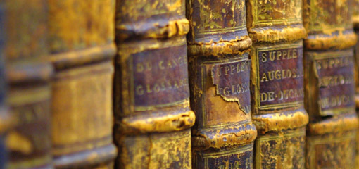 Photograph of the spines of books in the Shakespeare Institute library