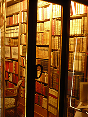 portuguese-novel