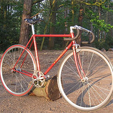A picture of a red bicycle in front of a forest