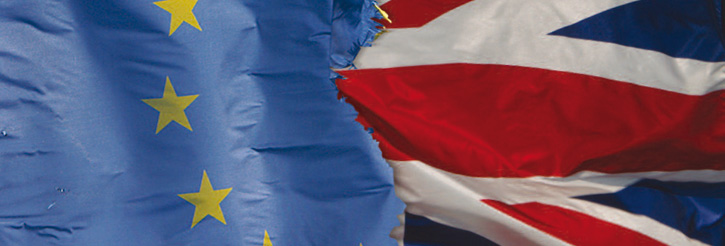 Institute of European Law