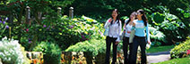 Picture of a group of students in the University's Winterbourne Gardens