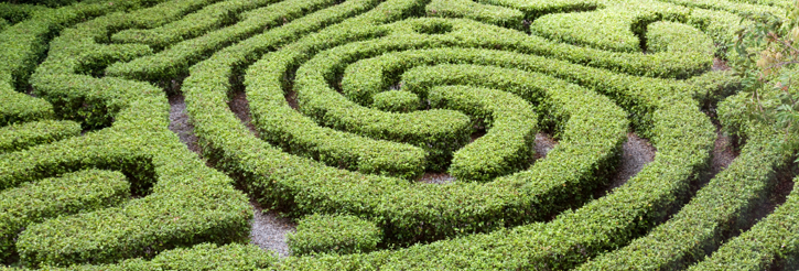 maze