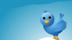 twitter-icon-upright