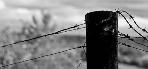 Photograph of barbed wire on a fence post