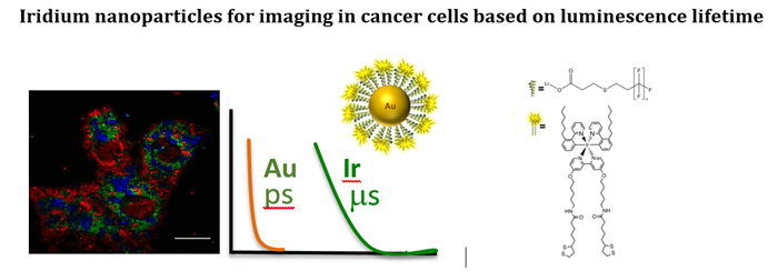 Iridium nanoparticles for imaging in cancer cells based on luminescence lifetime