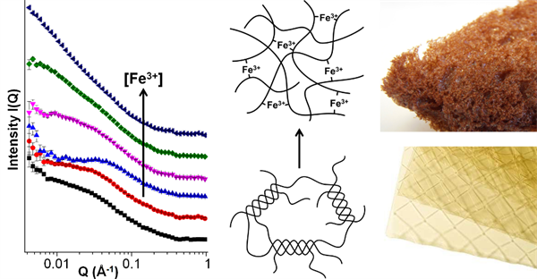 Mechanistic insights into porous carbons from gelatin