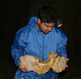 Inspecting the finds