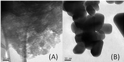 Biological Hydroxyapatite Structure