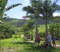 Fieldwork in Brazil