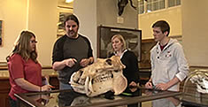 Teaching group examine hippo skull in Museum