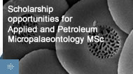 Micropalaeontology scholarships promo