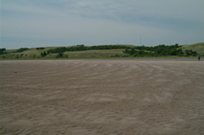 The river bank