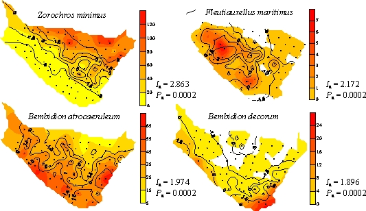 The microspatial distribution of ERS specialist beetles
