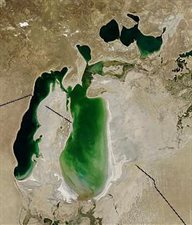 Satellite image