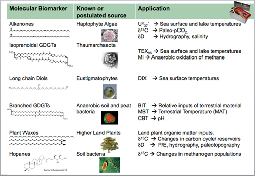 high utility biomarker applications