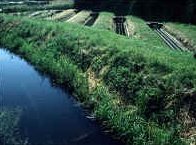 Mesocosms at the FBA River Laboratory, UK