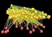 Food web of mesocosm assemblage. Courtesy of Ulrich Brose