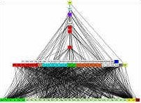Summary web of interactions in stream mesocosms