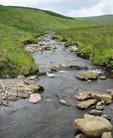 The Afon Gwy, mid-Wales