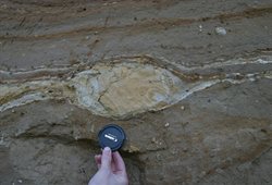 Deformed till - Cromer, Norfolk Coast