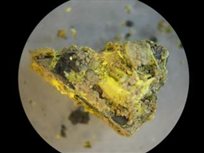 Military grade depleted uranium showing surface metaschoepite corrosion