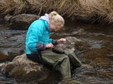 Student collecting samples from a stream during fieldwork