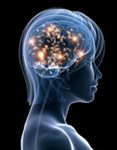 The active brain
