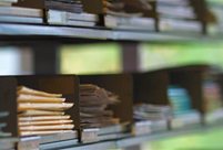 Shelves of records