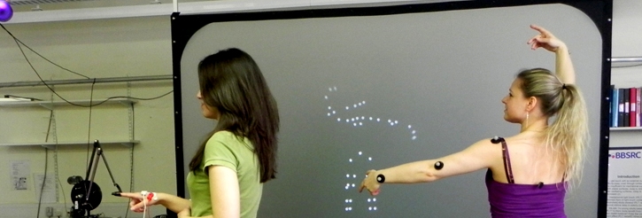 Light-point displays used for modelling human action
