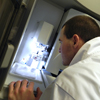 DNA analyser in the Functional Genomics Laboratory