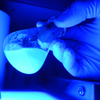 Flourescence in a molecular biotechnology laboratory class