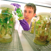 Horticultural facilities