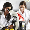 Students using microscopes in the lab